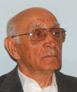 Hasan Efendić